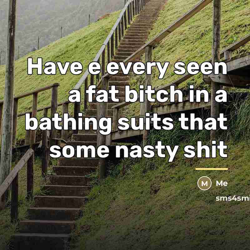 “Have e every seen a fat bitch in a bathing…” quote by Me