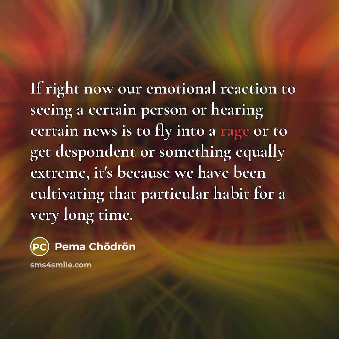 “If right now our emotional reaction to seeing a certain…” quote by Pema Chodron