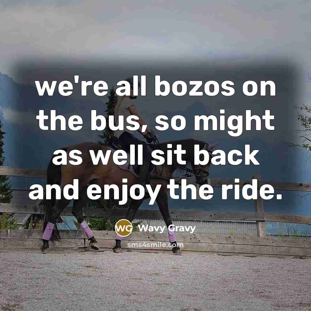 “we're all bozos on the bus, so might as well…” quote by Wavy Gravy