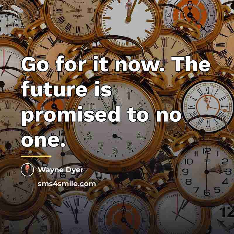 “Go for it now. The future is promised to no…” quote by Wayne Dyer