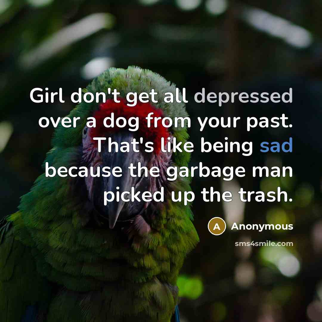 “Girl don't get all depressed over a dog from your past. That's like being sad because the garbage man picked up the trash.” quote by Anonymous
