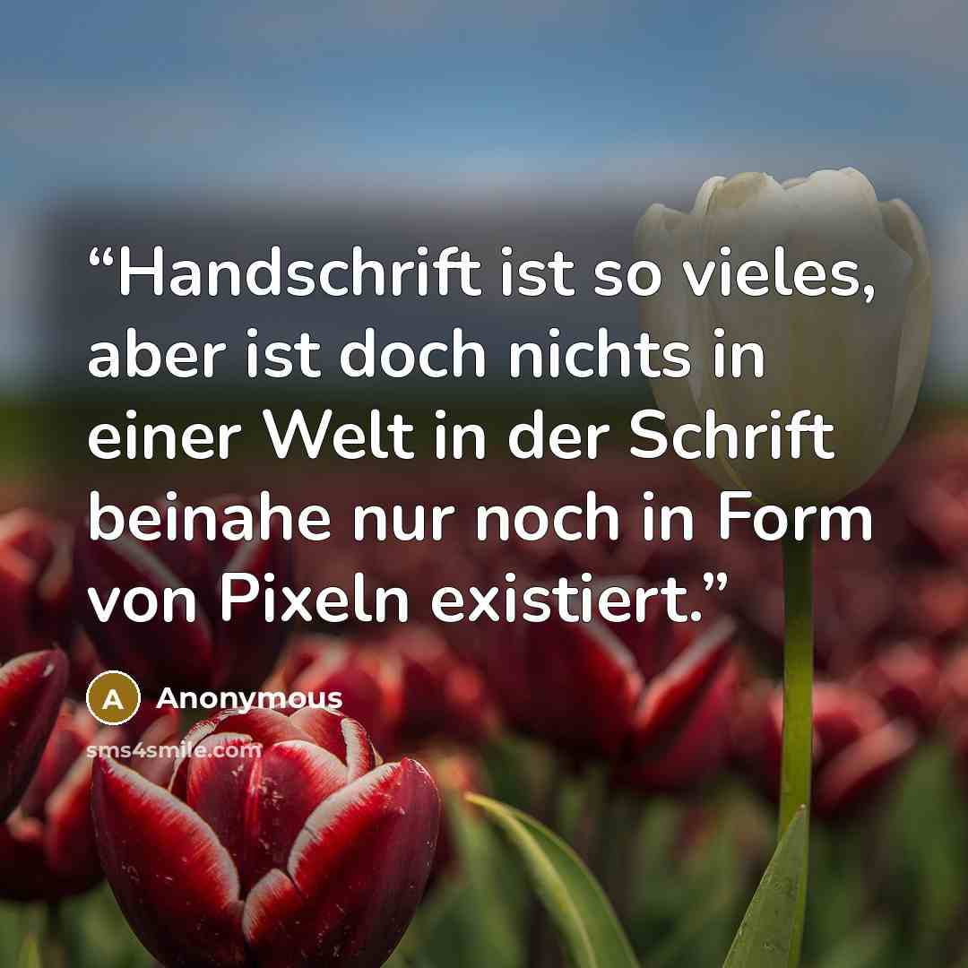 “Handschrift ist so vieles, aber ist doch nichts in einer Welt in der Schrift beinahe nur noch in Form von Pixeln existiert.” quote by Anonymous