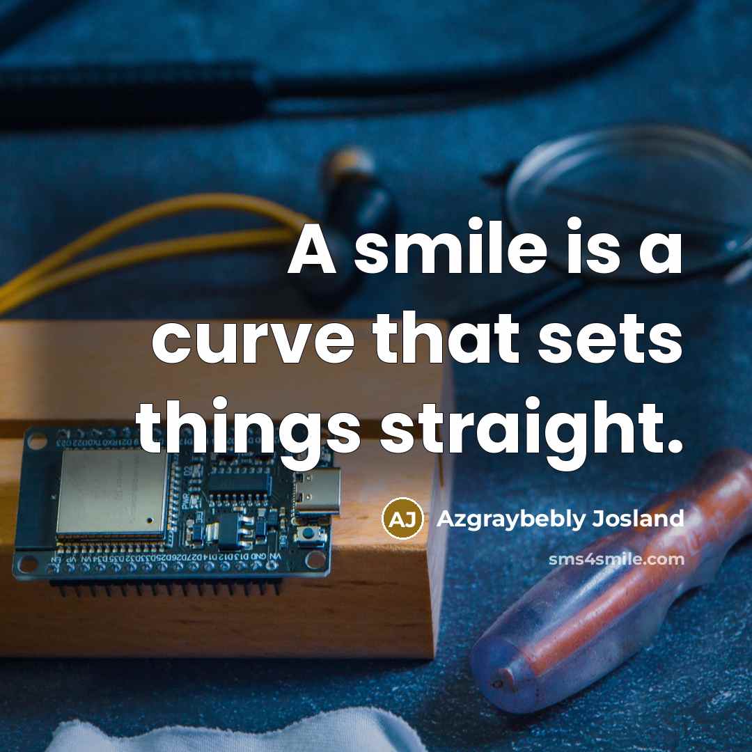“A smile is a curve that sets things straight.…” quote by Azgraybebly Josland