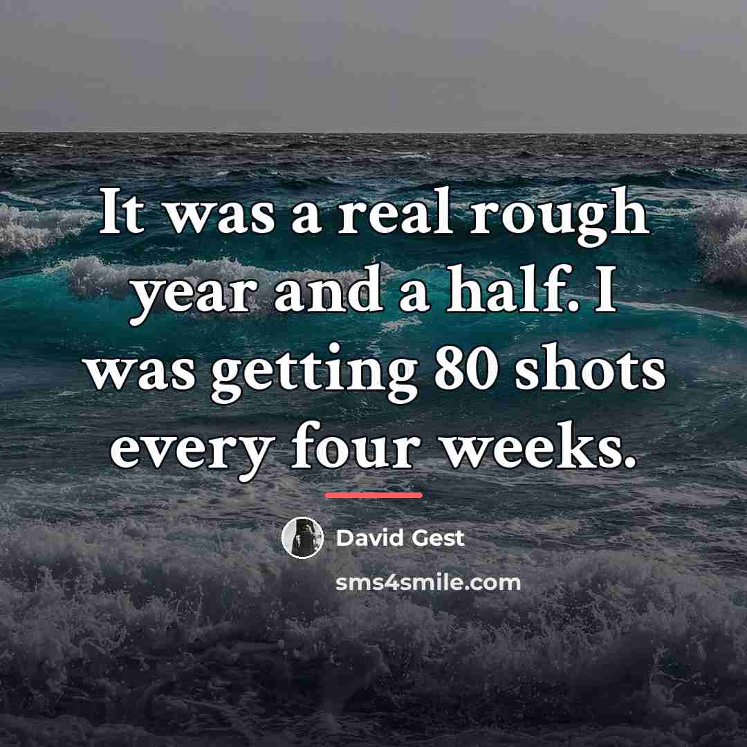 “It was a real rough year and a half. I…” quote by David Gest