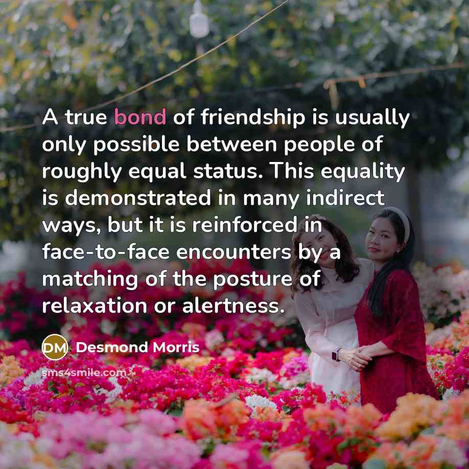 “A true bond of friendship is usually only possible between…” quote by Desmond Morris