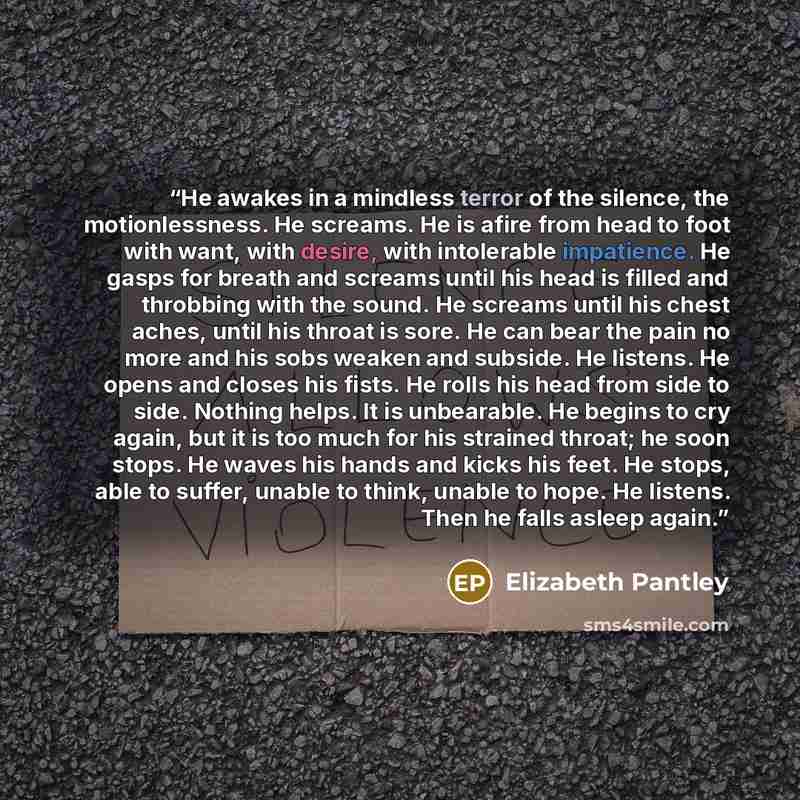 “He awakes in a mindless terror of the silence, the motionlessness. He screams. He is afire from head to foot with want, with desire, with intolerable impatience. He gasps for breath and screams until his head is filled and throbbing with the sound. He screams until his chest aches, until his…” quote by Elizabeth Pantley