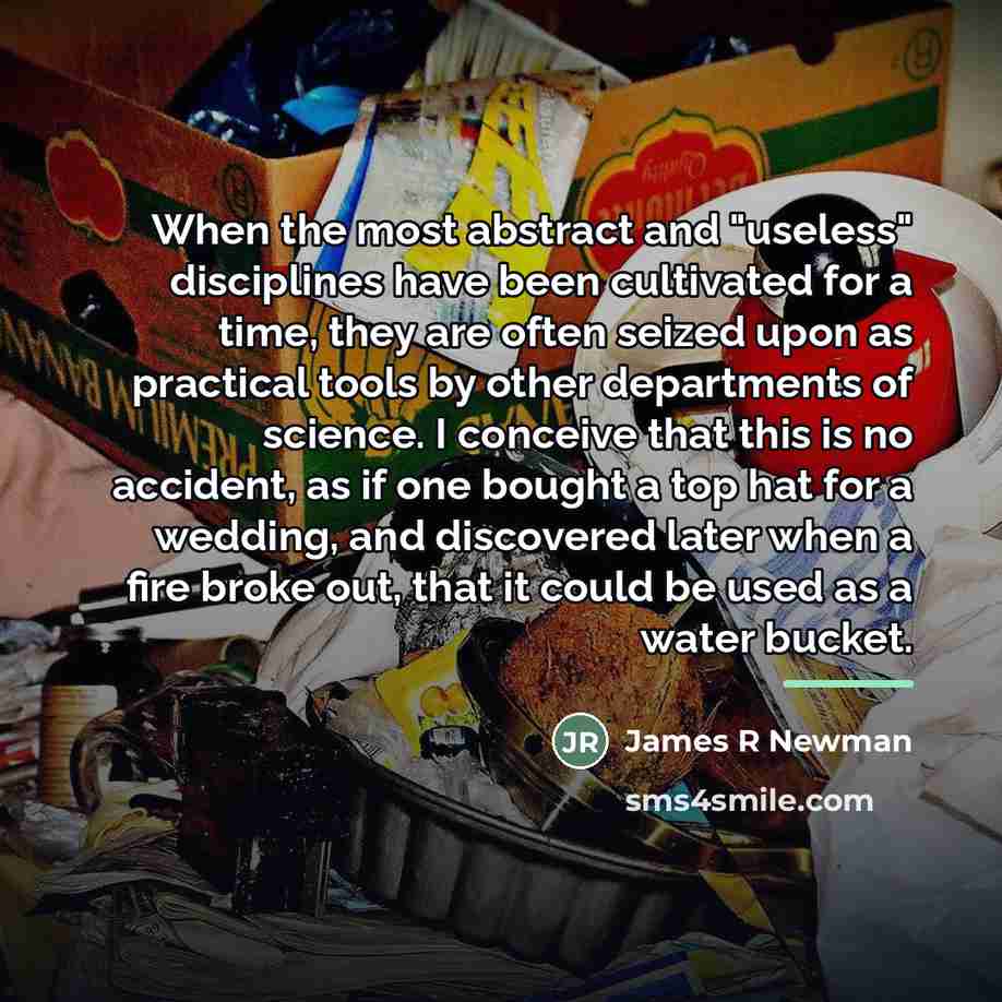 “When the most abstract and "useless" disciplines have been cultivated…” quote by James R Newman