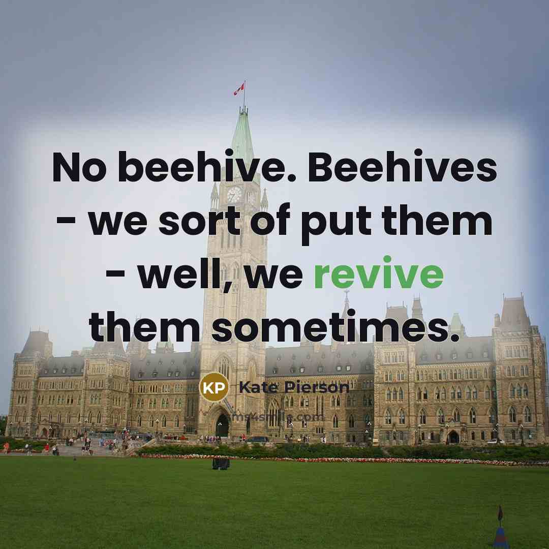 “No beehive. Beehives - we sort of put them -…” quote by Kate Pierson