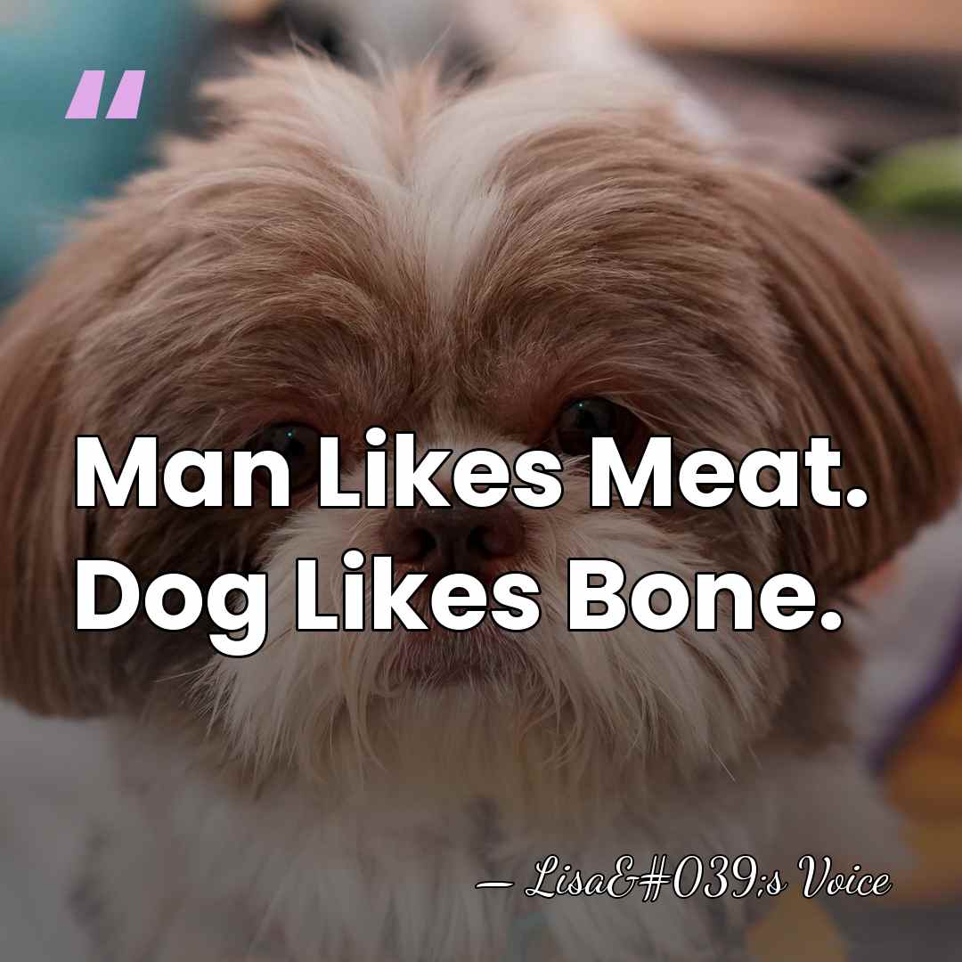 Man Likes Meat. Dog Likes Bone. - Lisa's Voice