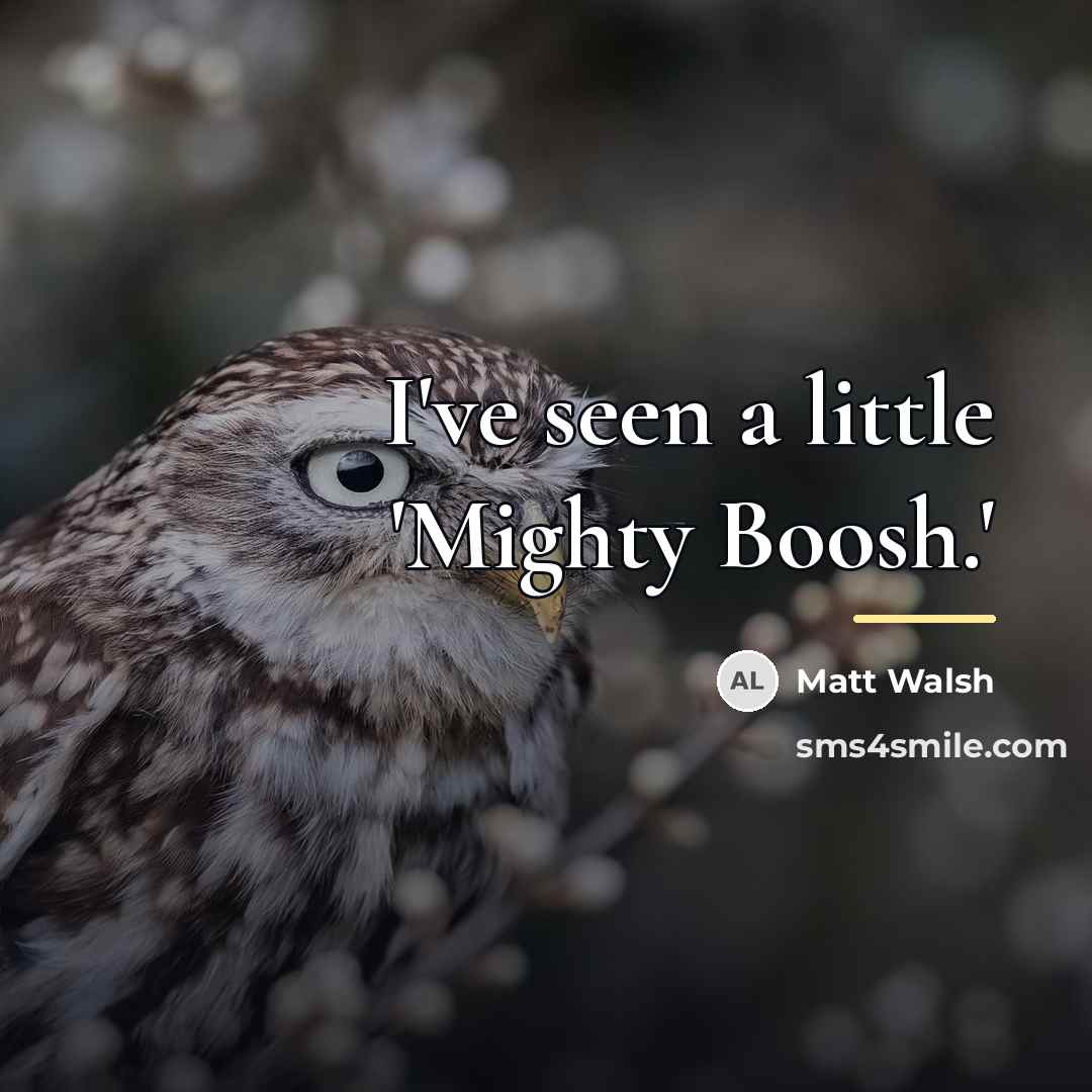 “I've seen a little 'Mighty Boosh.'…” quote by Matt Walsh