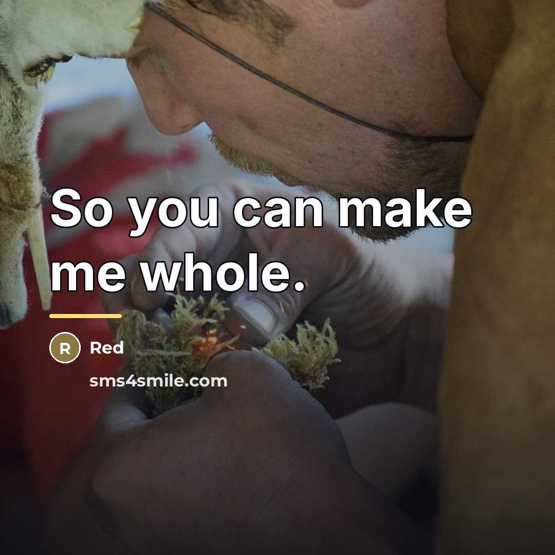 “So you can make me whole.…” quote by Red
