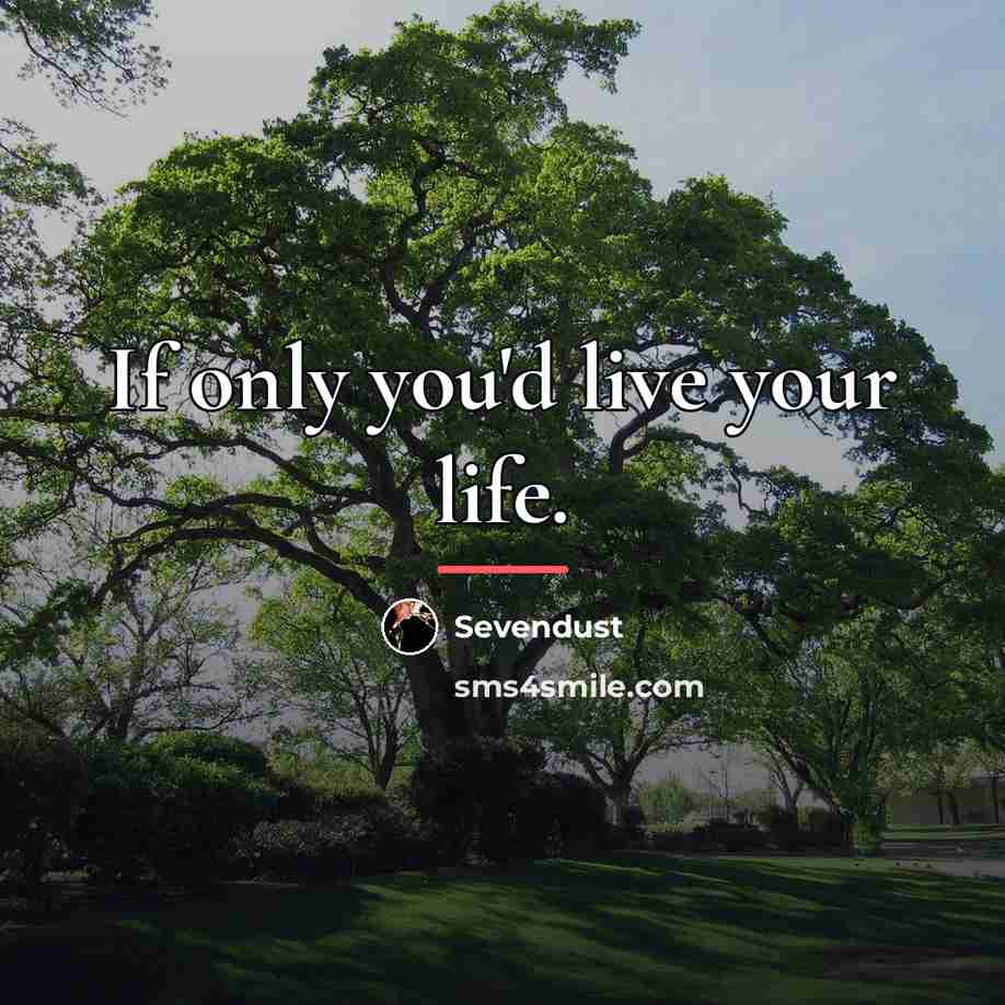 “If only you'd live your life.…” quote by Sevendust