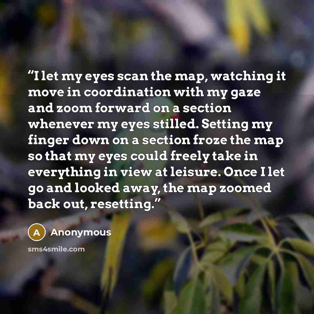 “I let my eyes scan the map, watching it move in coordination with my gaze and zoom forward on a section whenever my eyes stilled. Setting my finger down on a section froze the map so that my eyes could freely take in everything in view at leisure. Once I let go and looked away, the map zoomed back…” quote by Anonymous
