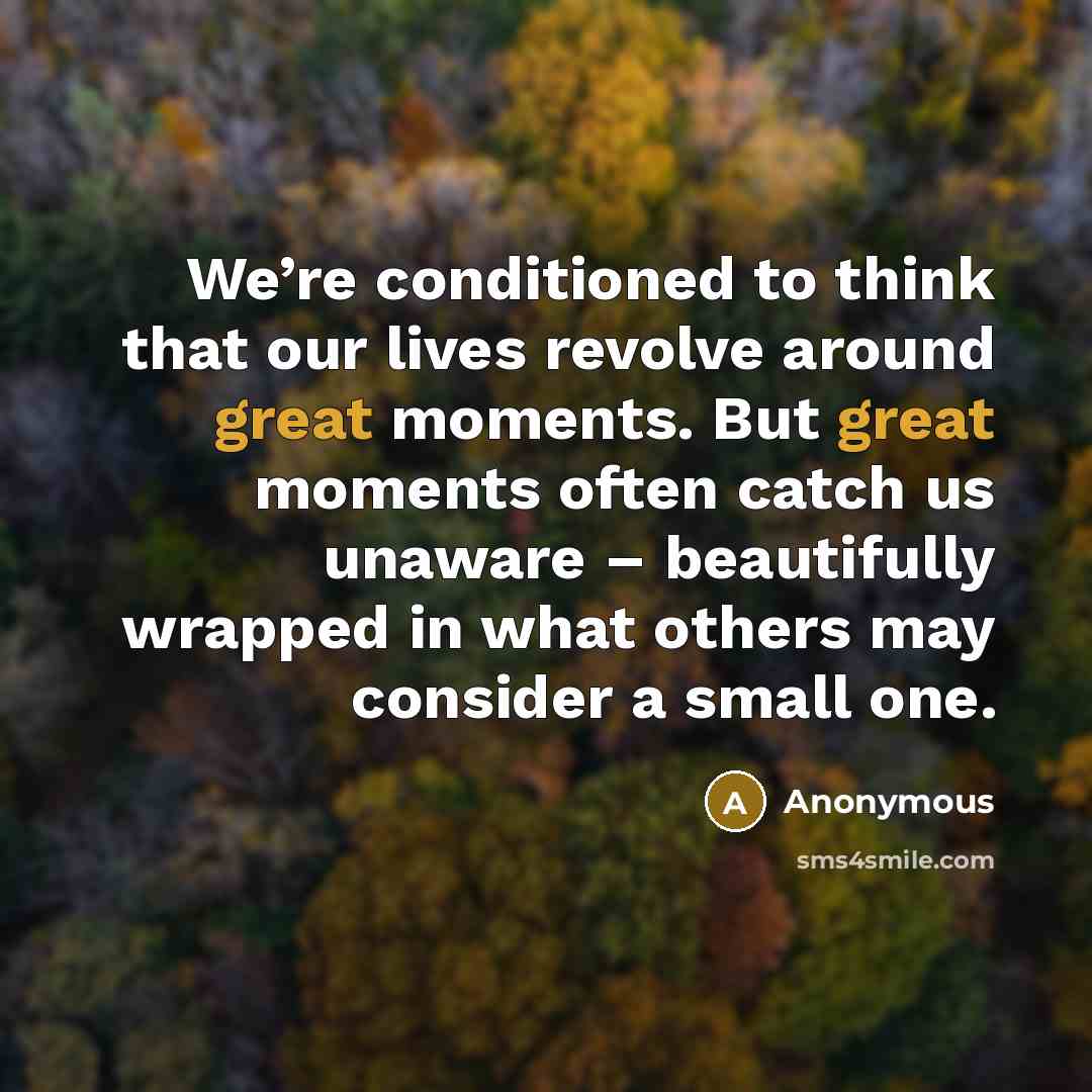 “We’re conditioned to think that our lives revolve around great…” quote by Anonymous
