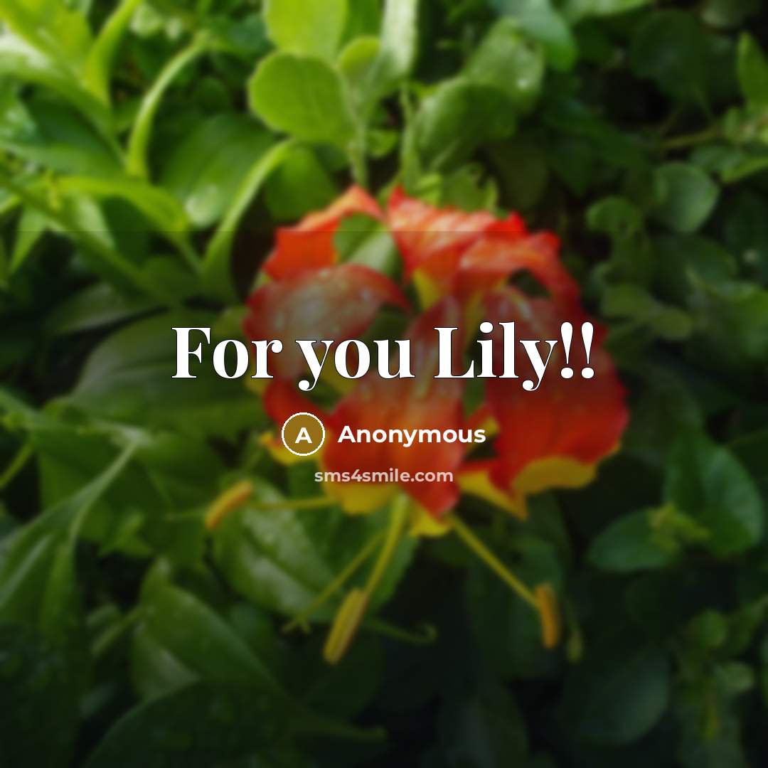 “For you Lily!!” quote by Anonymous