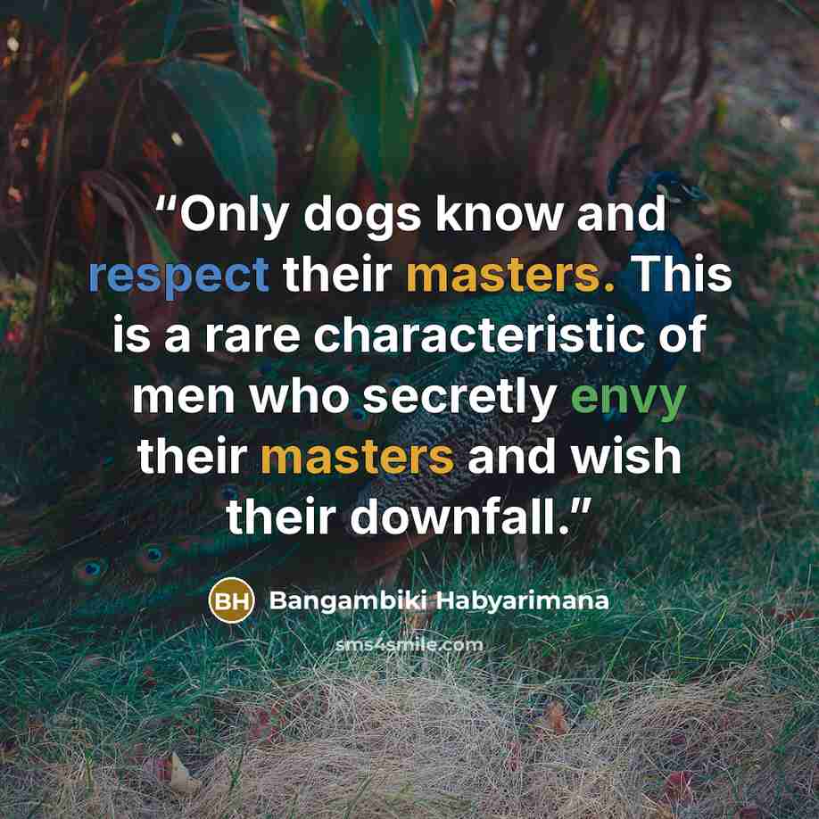 “Only dogs know and respect their masters. This is a rare characteristic of men who secretly envy their masters and wish their downfall.” quote by Bangambiki Habyarimana