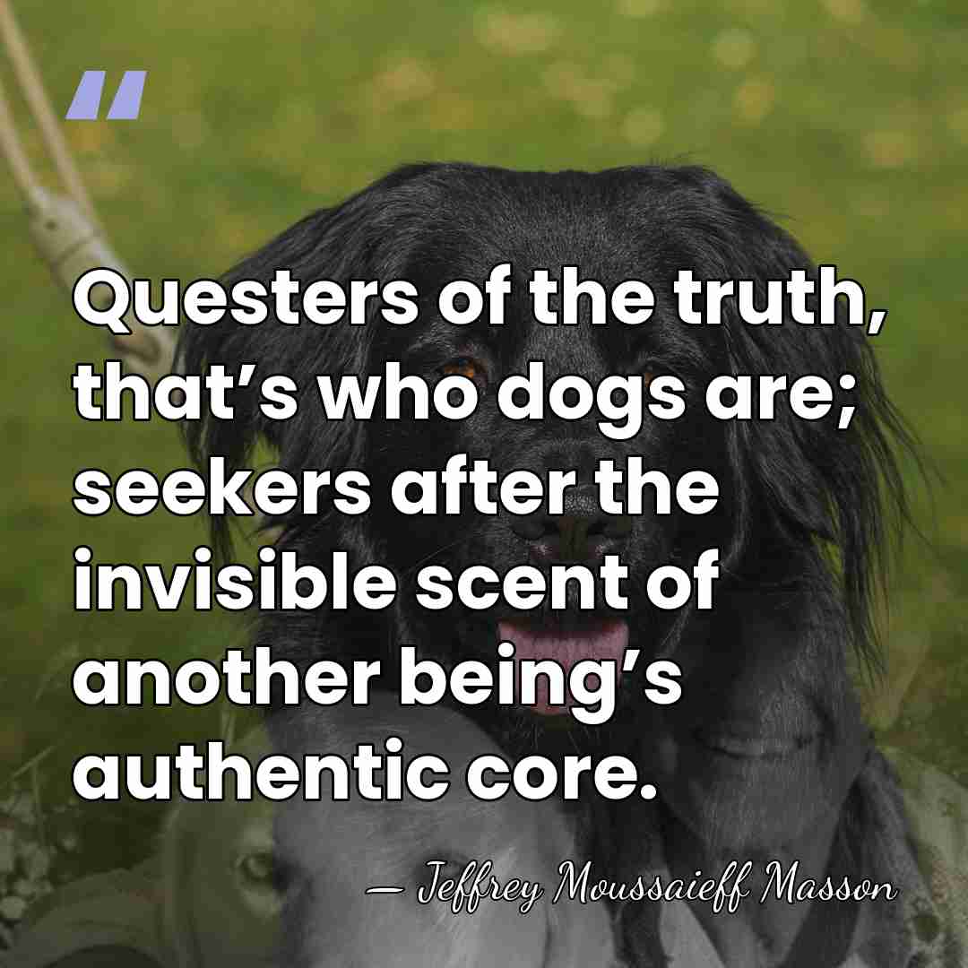 Questers of the truth, that’s who dogs are; seekers after the invisible&hellip; - Jeffrey Moussaieff Masson