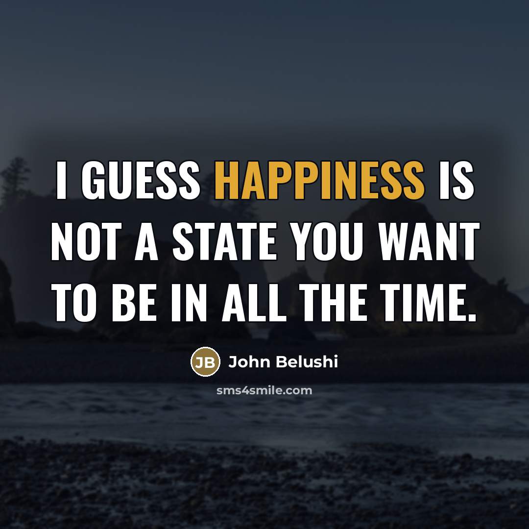 “I guess happiness is not a state you want to…” quote by John Belushi