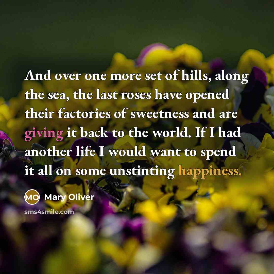 “And over one more set of hills, along the sea,…” quote by Mary Oliver