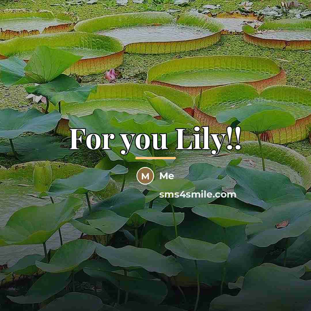 “For you Lily!!…” quote by Me