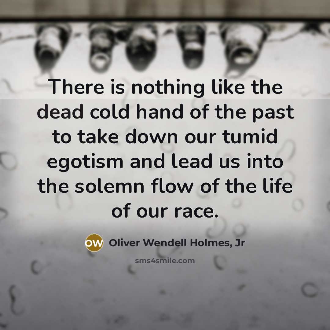 “There is nothing like the dead cold hand of the…” quote by Oliver Wendell Holmes, Jr