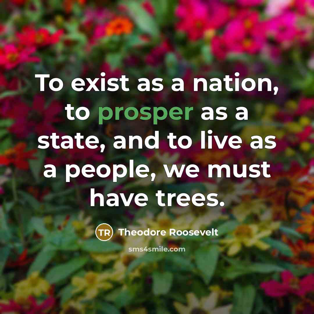 “To exist as a nation, to prosper as a state,…” quote by Theodore Roosevelt