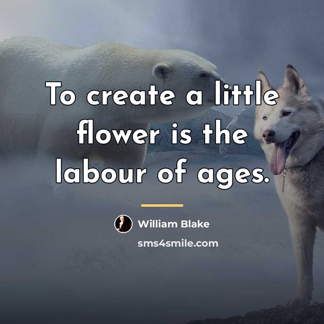 “To create a little flower is the labour of ages.…” quote by William Blake