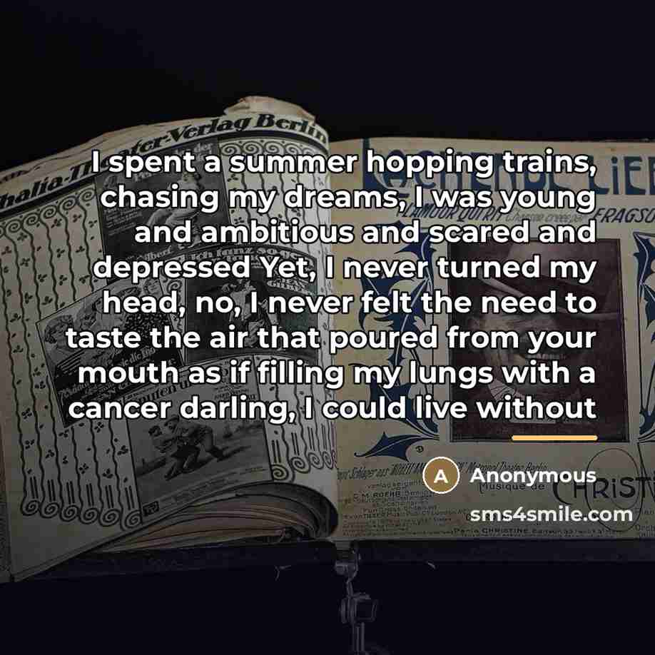 “I spent a summer hopping trains, chasing my dreams, I…” quote by Anonymous