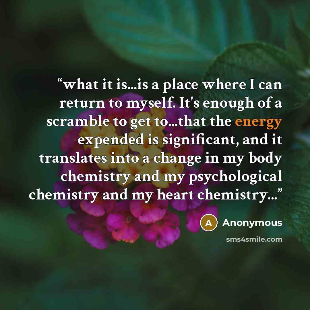 “what it is...is a place where I can return to myself. It's enough of a scramble to get to...that the energy expended is significant, and it translates into a change in my body chemistry and my psychological chemistry and my heart chemistry...” quote by Anonymous