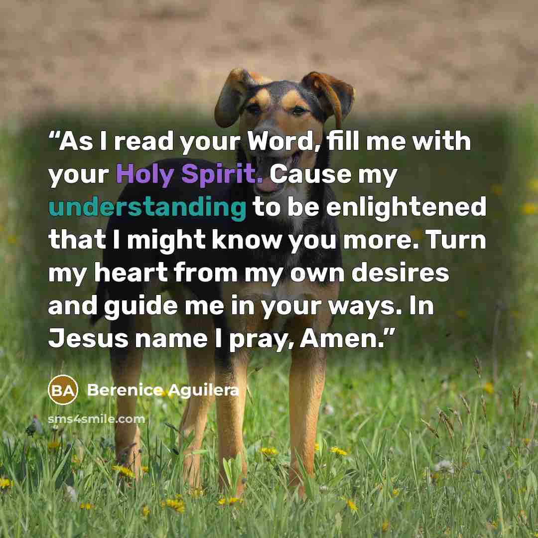 “As I read your Word, fill me with your Holy Spirit. Cause my understanding to be enlightened that I might know you more. Turn my heart from my own desires and guide me in your ways. In Jesus name I pray, Amen.” quote by Berenice Aguilera