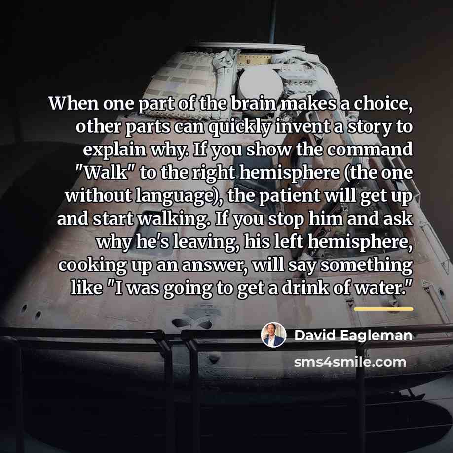 “When one part of the brain makes a choice, other…” quote by David Eagleman