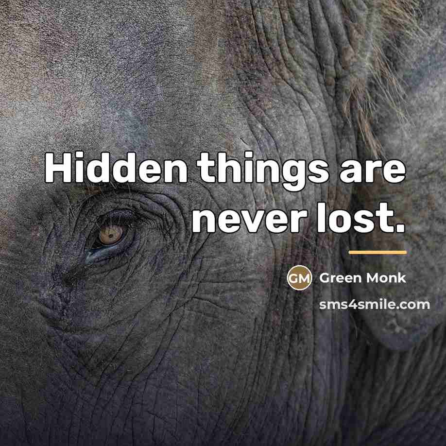 “Hidden things are never lost.…” quote by Green Monk