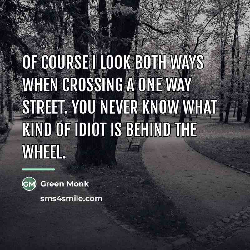 “Of course I look both ways when crossing a one…” quote by Green Monk