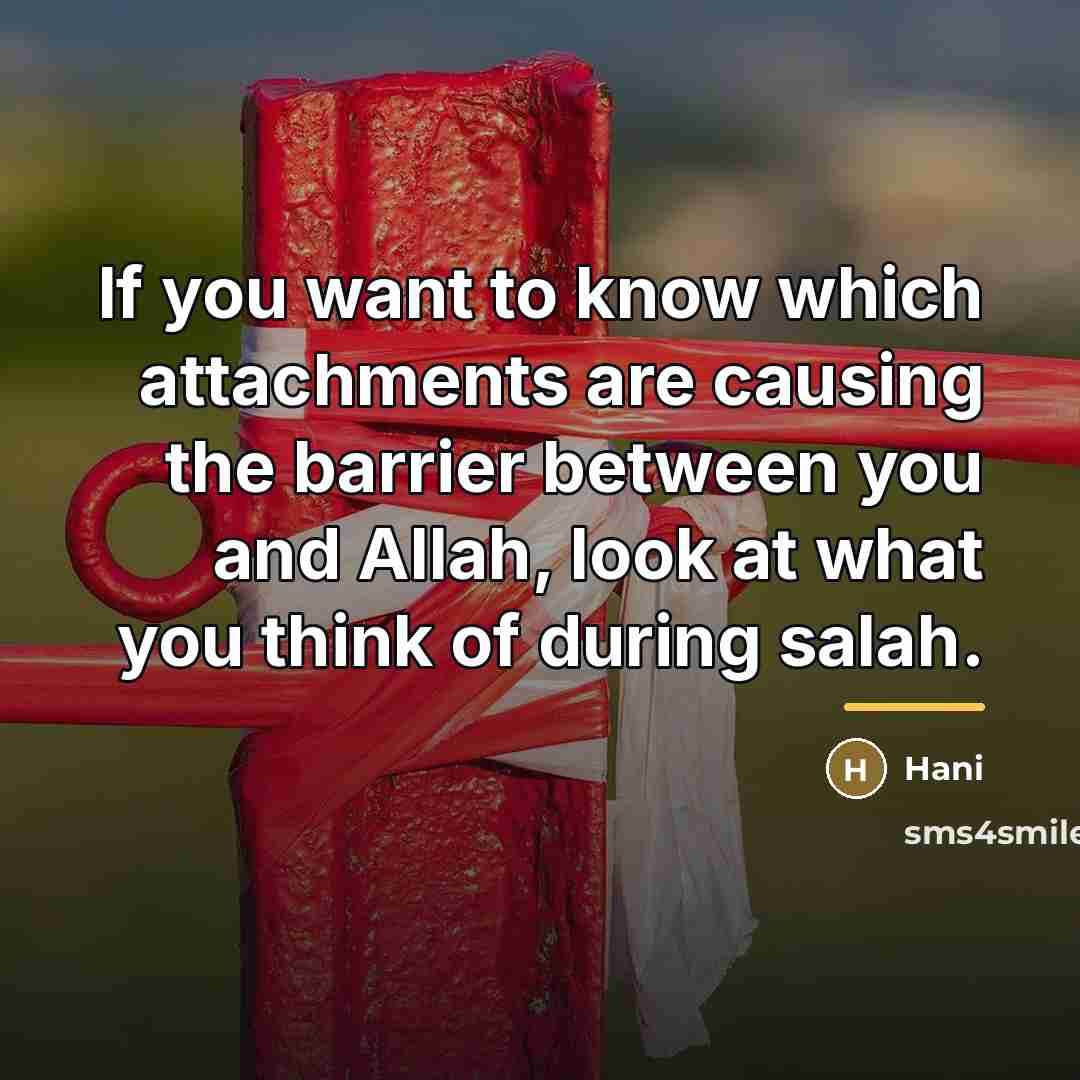 “If you want to know which attachments are causing the…” quote by Hani