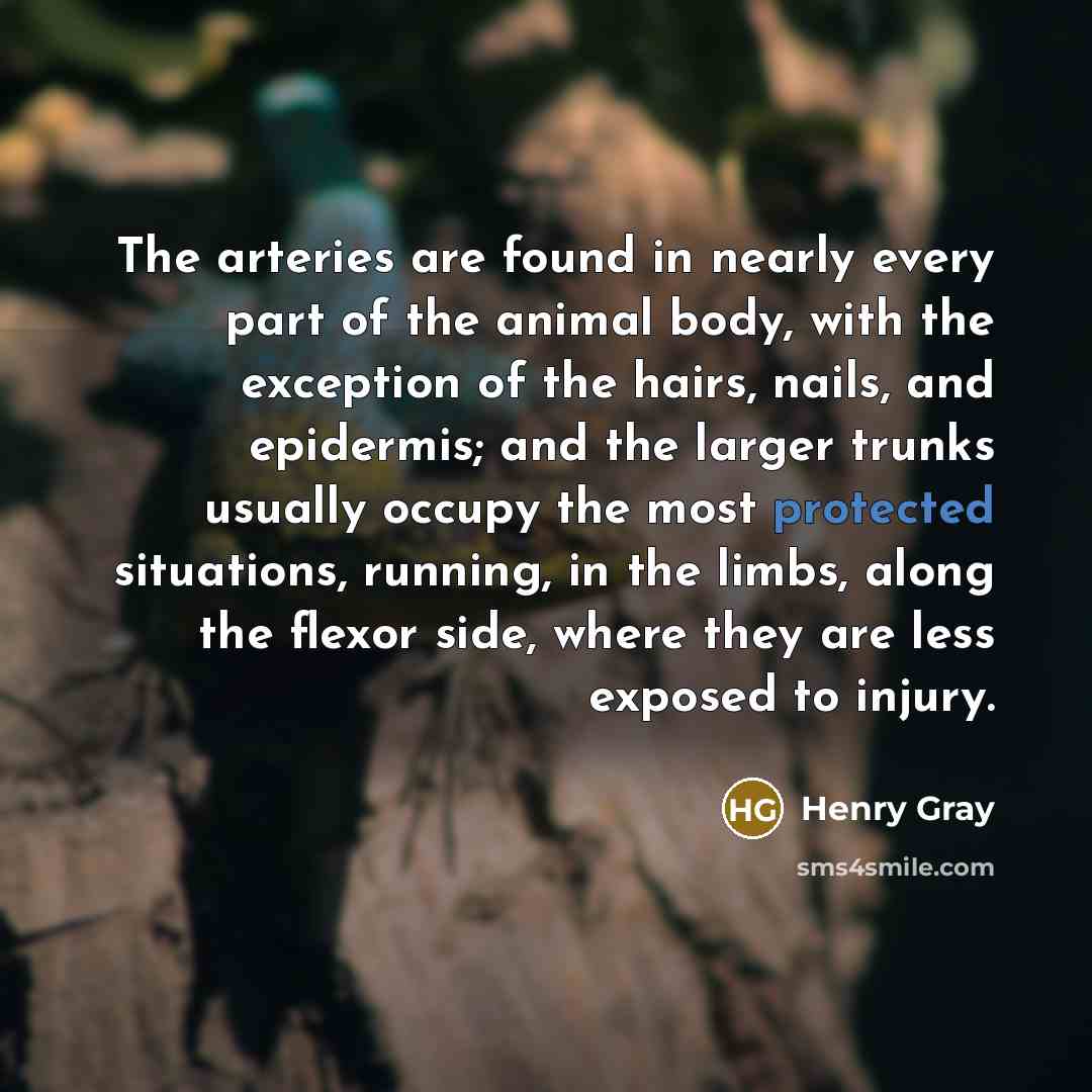 “The arteries are found in nearly every part of the…” quote by Henry Gray