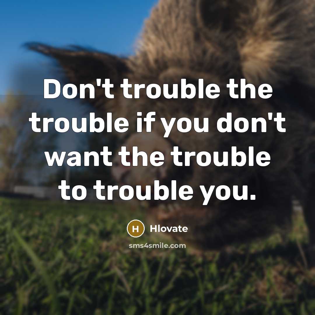 “Don't trouble the trouble if you don't want the trouble…” quote by Hlovate