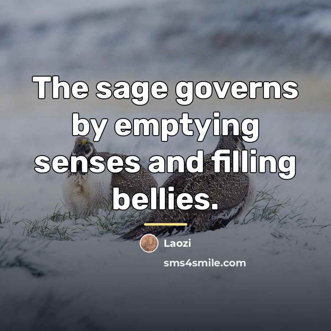 “The sage governs by emptying senses and filling bellies.…” quote by Laozi