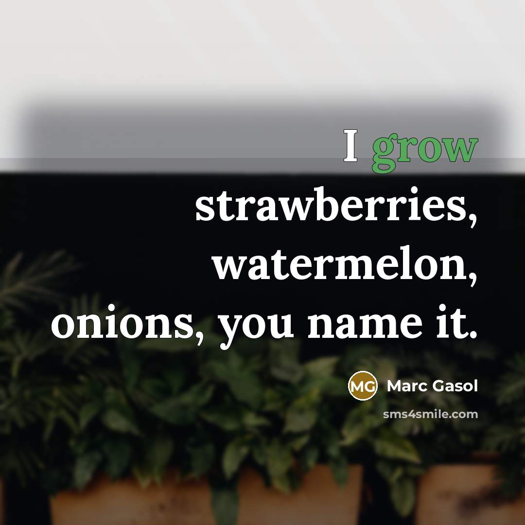“I grow strawberries, watermelon, onions, you name it.…” quote by Marc Gasol