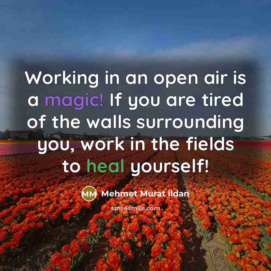 “Working in an open air is a magic! If you…” quote by Mehmet Murat Ildan