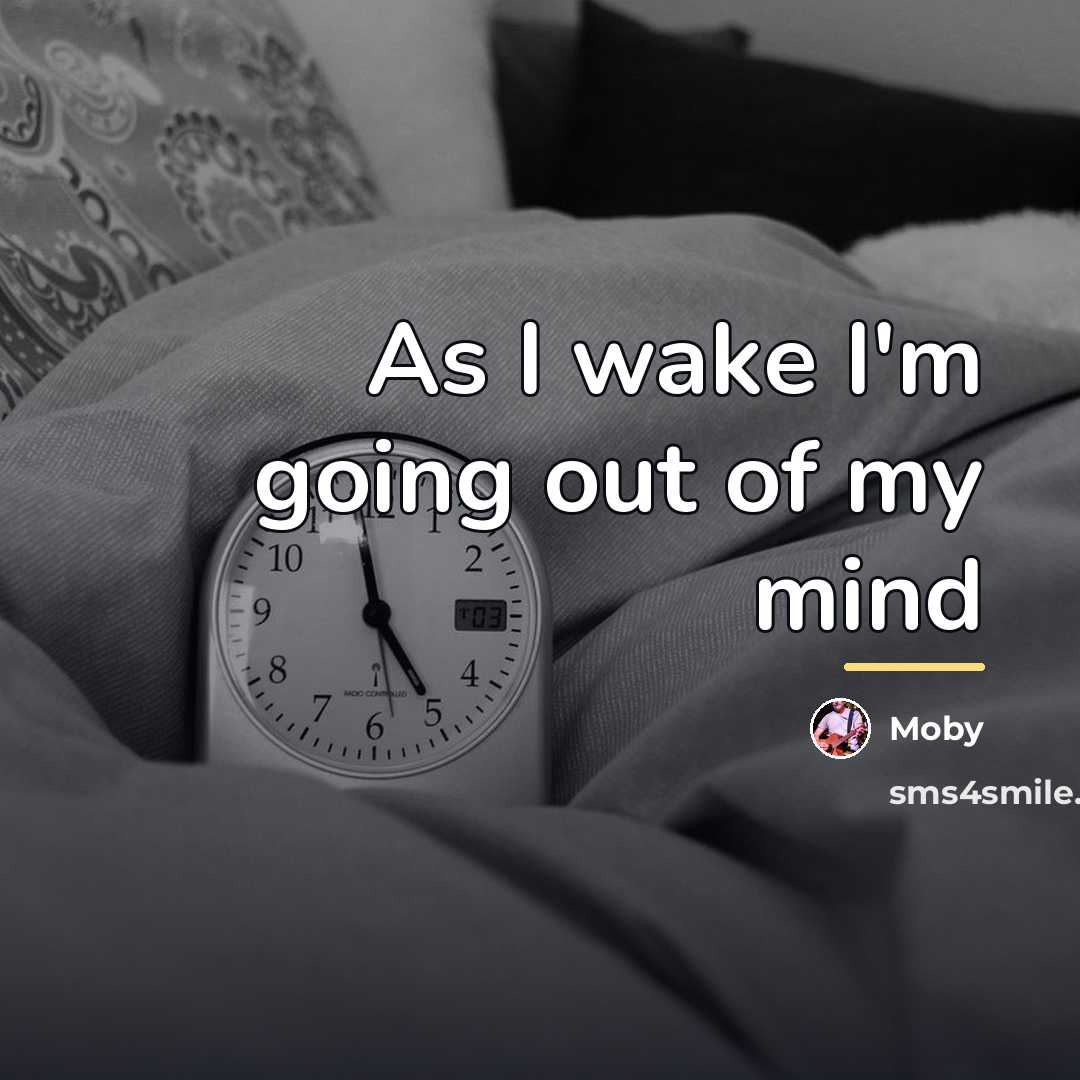 “As I wake I'm going out of my mind…” quote by Moby