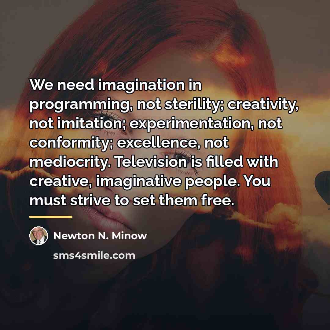 “We need imagination in programming, not sterility; creativity, not imitation;…” quote by Newton N. Minow
