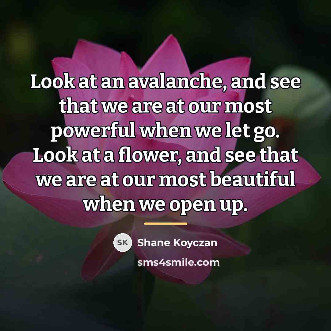 “Look at an avalanche, and see that we are at…” quote by Shane Koyczan
