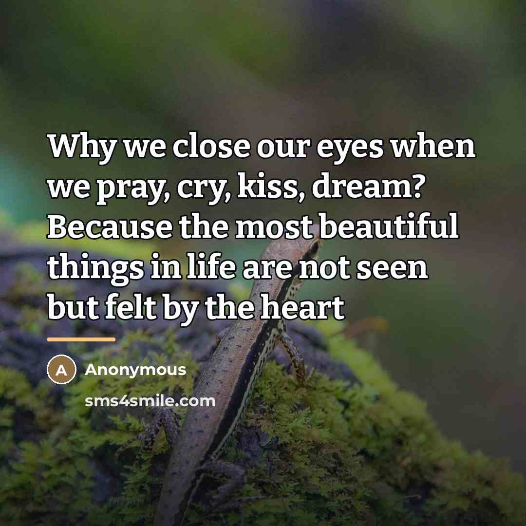 “Why we close our eyes when we pray, cry, kiss,…” quote by Anonymous