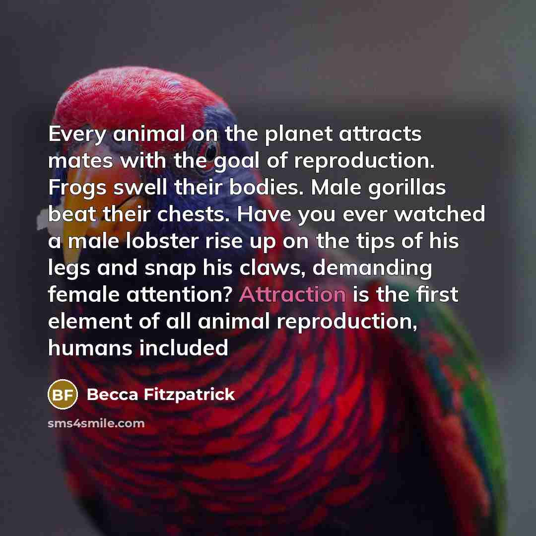 “Every animal on the planet attracts mates with the goal…” quote by Becca Fitzpatrick