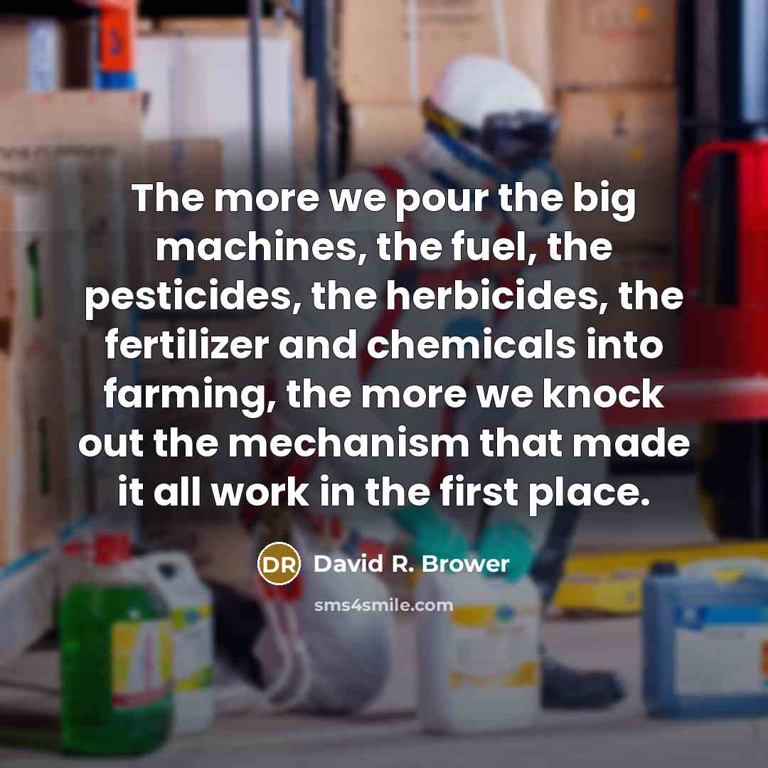 “The more we pour the big machines, the fuel, the…” quote by David R. Brower