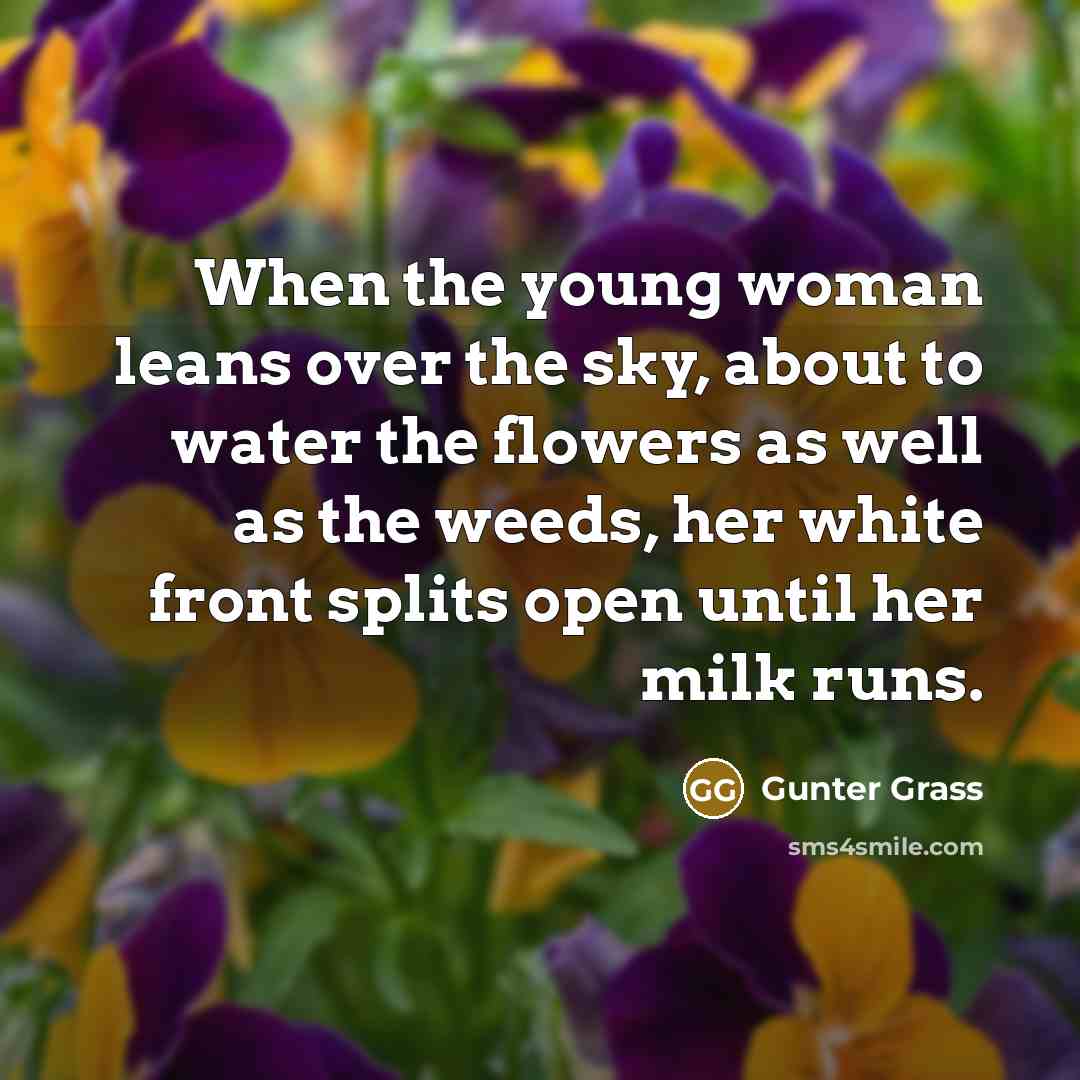 “When the young woman leans over the sky, about to…” quote by Gunter Grass