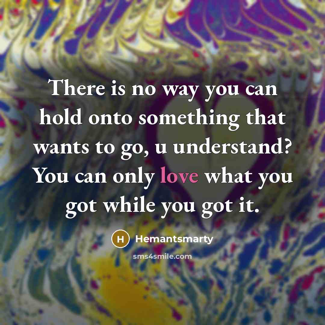 “There is no way you can hold onto something that wants to go, u understand? You can only love what you got while you got it.” quote by Hemantsmarty
