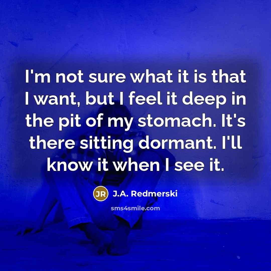 “I'm not sure what it is that I want, but…” quote by J.A. Redmerski