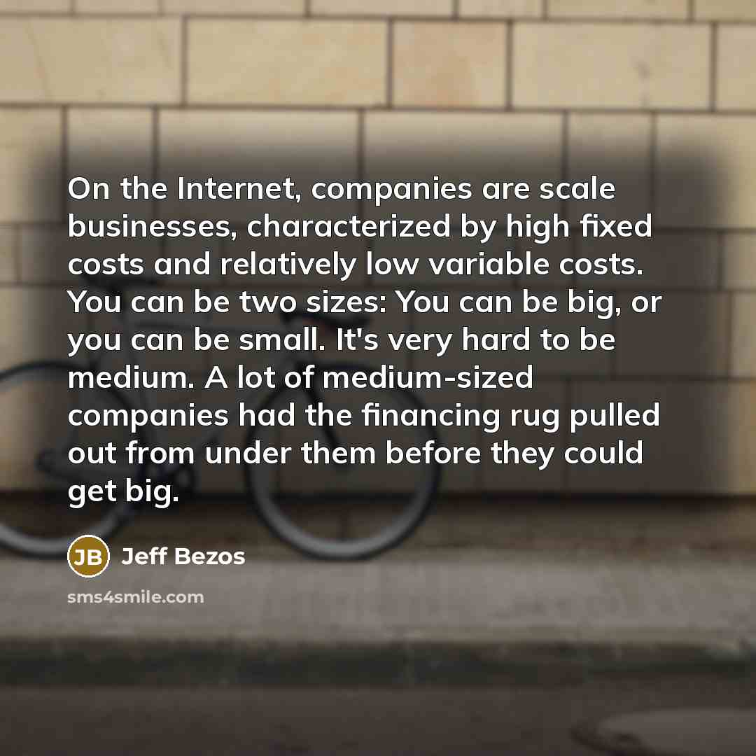 “On the Internet, companies are scale businesses, characterized by high…” quote by Jeff Bezos
