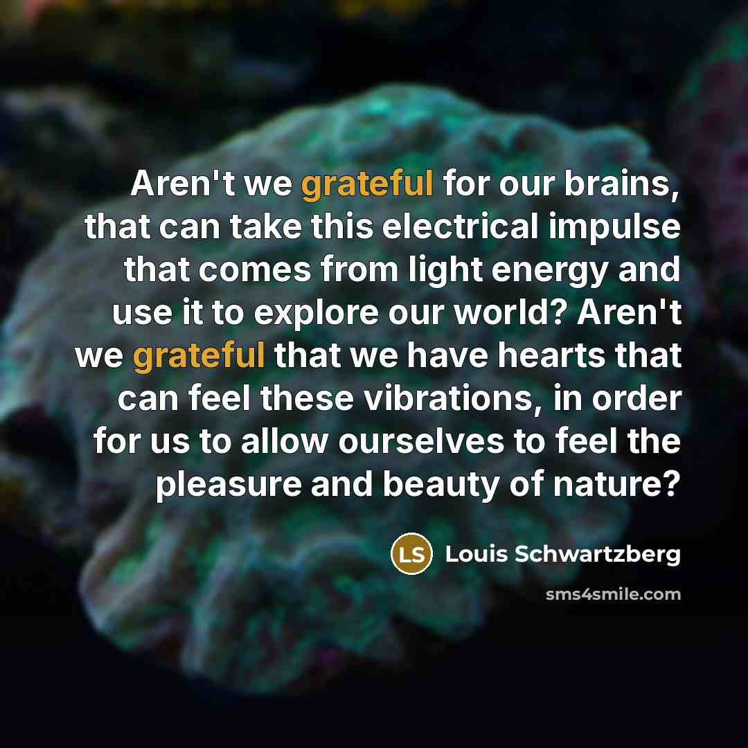 “Aren't we grateful for our brains, that can take this…” quote by Louis Schwartzberg